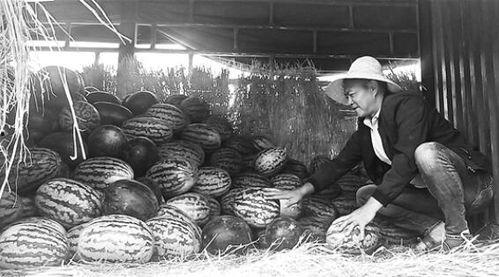 泗洪吃瓜群众事件视频曝光,视频曝光揭示惊人真相