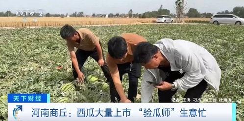 云阳教师吃瓜事件视频,视频曝光引发网络热议
