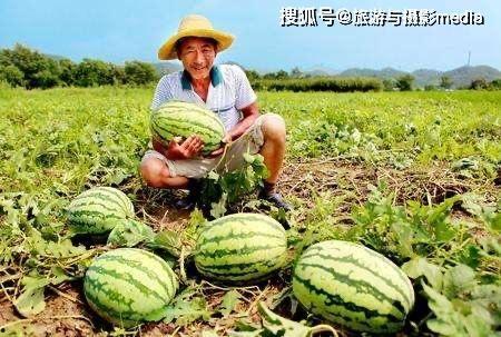 祥云路吃瓜视频