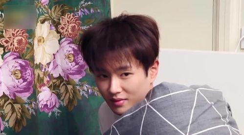 张晚意吃瓜现场原视频,揭秘娱乐圈幕后真相