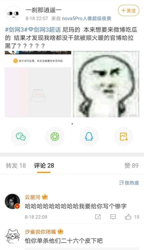 聊天室吃瓜吵架视频,吃瓜吵架视频背后的网络现象解析