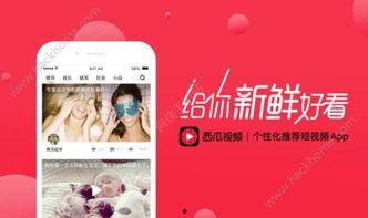 吃瓜视频文案情侣浪漫,情侣浪漫吃瓜视频，甜蜜互动让人心动不已