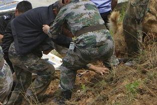 大爷要求子弟兵吃瓜视频,大爷的温馨要求，军营里的夏日清凉时光