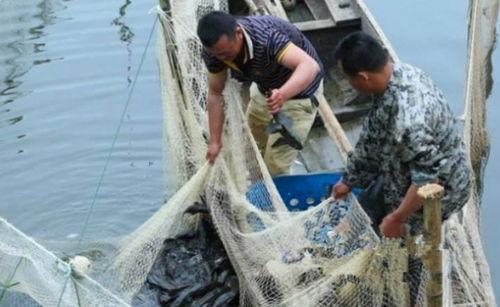 渔民看军演吃瓜视频大全,吃瓜视频大全揭秘