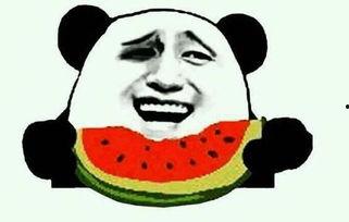 十一五的吃瓜视频,网络文化的缩影与变迁