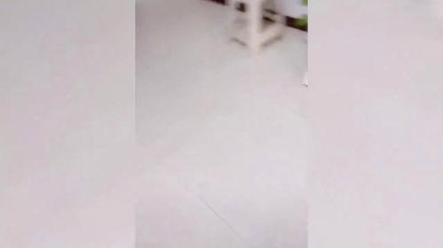 夫妻吵架路人吃瓜视频播放,吃瓜视频播放量飙升