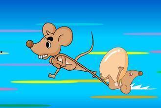 防止老鼠吃瓜的措施视频,视频揭秘实用驱鼠技巧