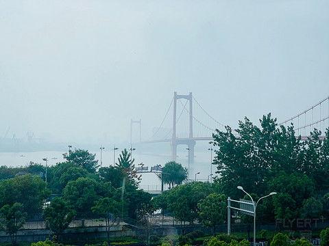 世茂滨江 视频 吃瓜,揭秘网红美食背后的“吃瓜”故事