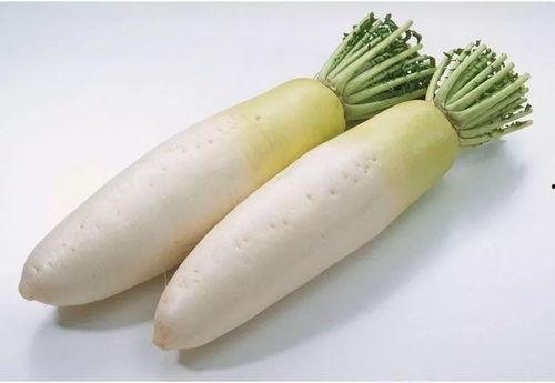 水瓜渣苗可以吃吗视频讲解,视频讲解揭秘